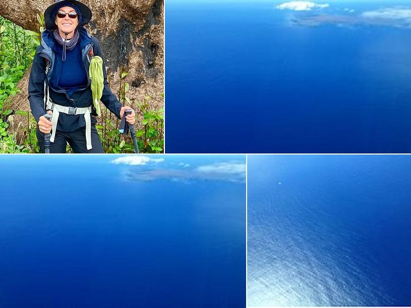 Keene, Colleen / Nourish the Center