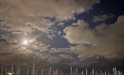 LYONS Salon + Spa 7500 SW 61st Ave #5012, South Miami Florida 33143