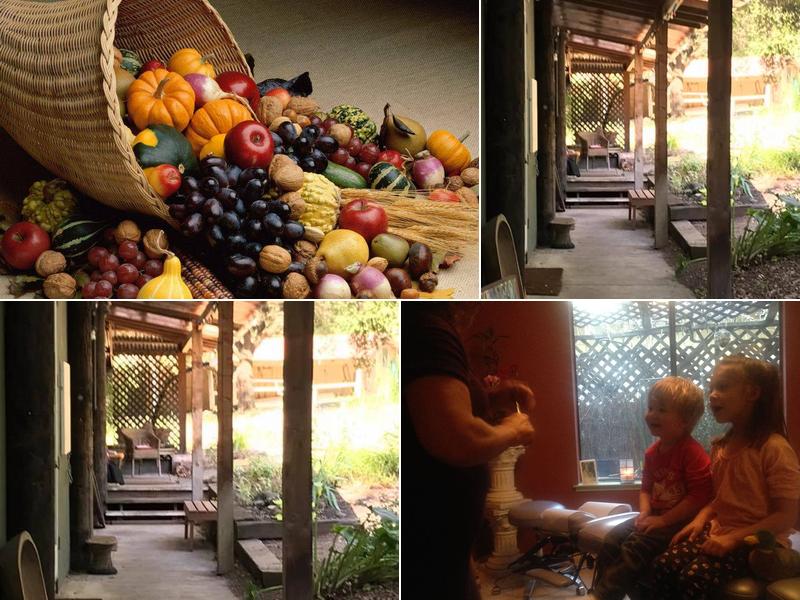 Plush Chiropractic Sonoma