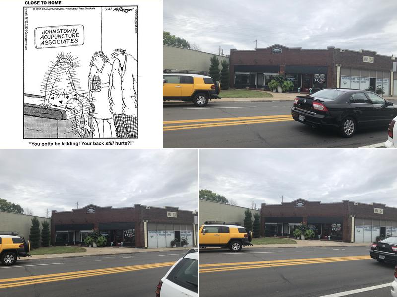 Acupuncture St. Louis