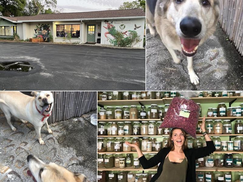 Acupuncture & Herbal Therapies