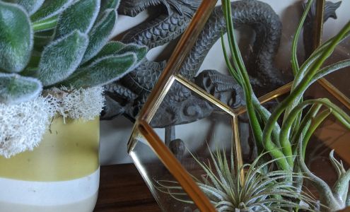 Fire Dragon Acupuncture & Massage 9431 Coppertop Loop NE #206, Bainbridge Island Washington 98110