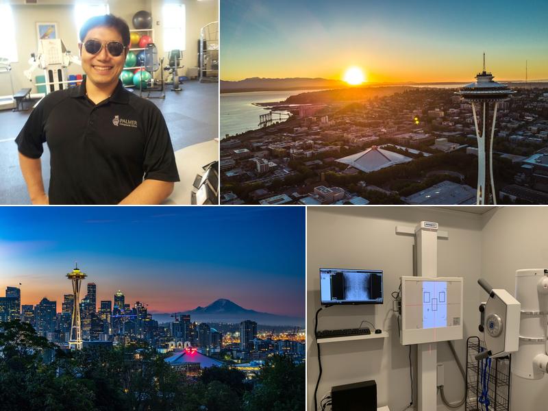 Seattle Belta Chiropractic