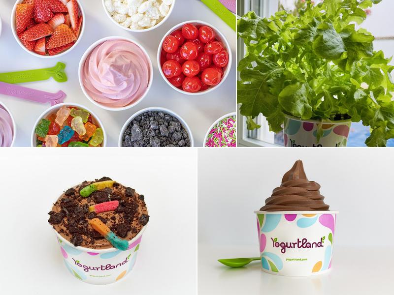 Yogurtland Dana Point