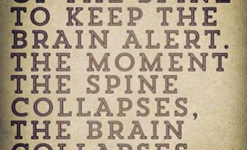 Carone Family Chiropractic