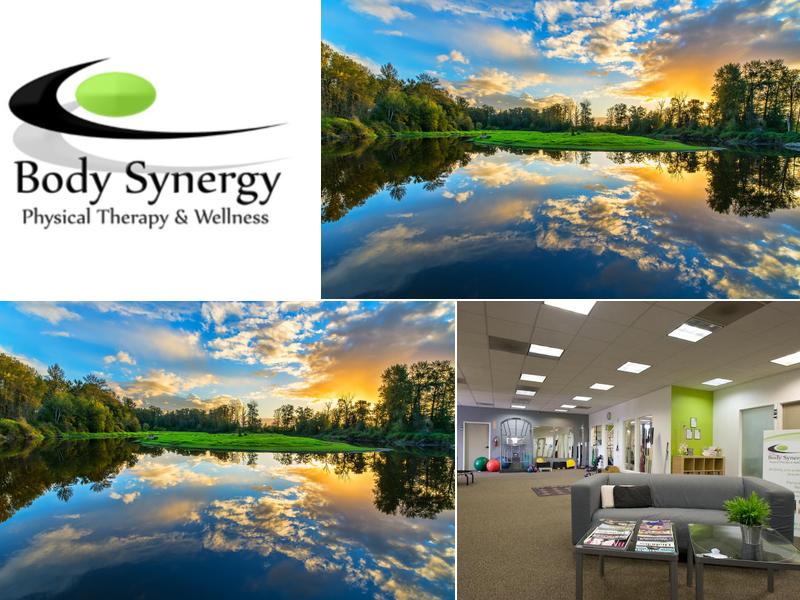 Body Synergy Physical Therapy & Wellness