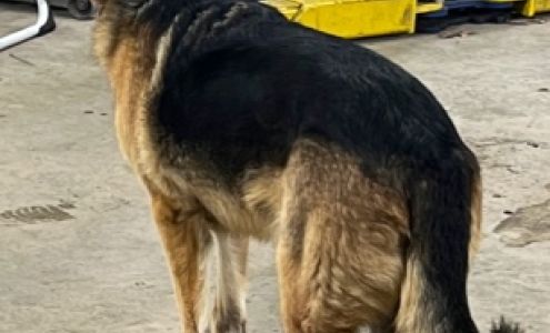 Nwa Auto Repair Lowell