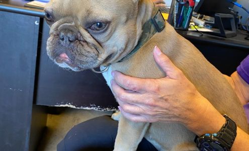 Broco Auto World LLC