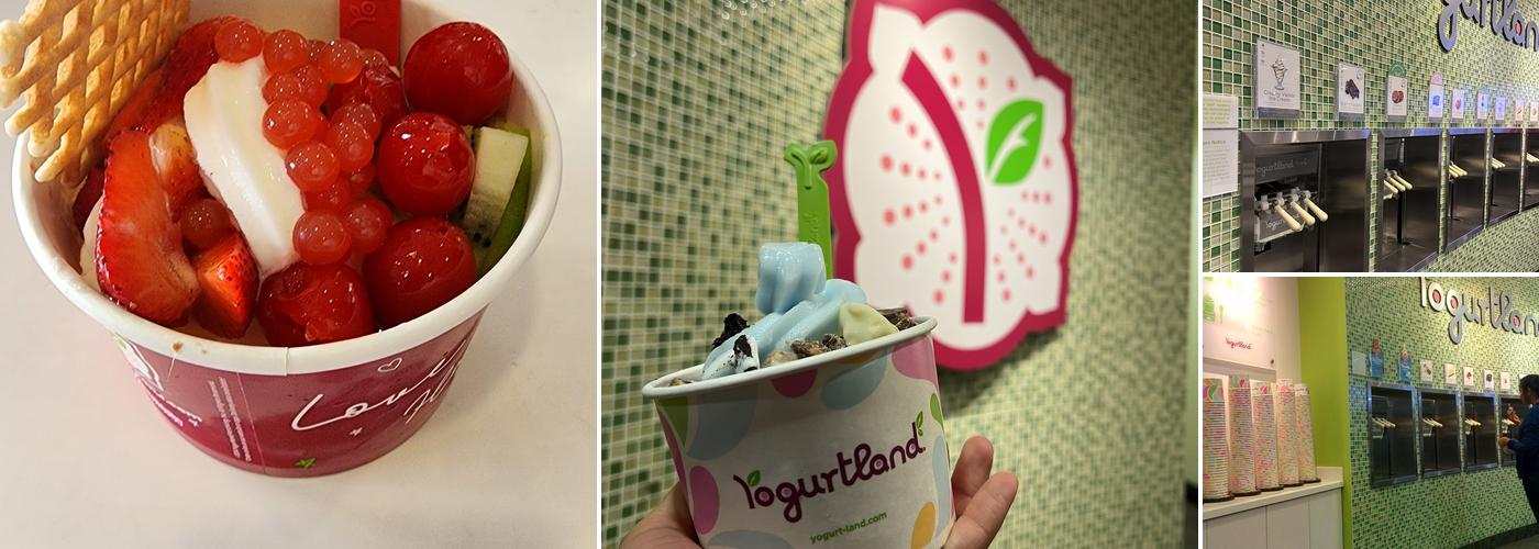 Yogurtland Menu