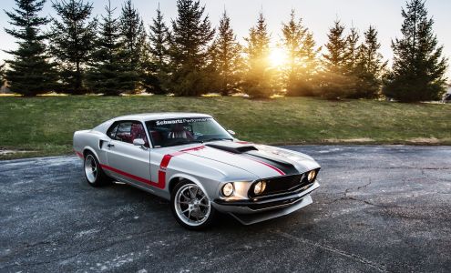 Schwartz Performance