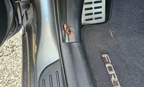 Shaver Preferred Auto Repair