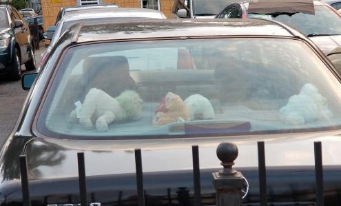 Mc-Demp auto mechanics