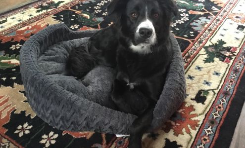 Ramos Autobody Chelsea