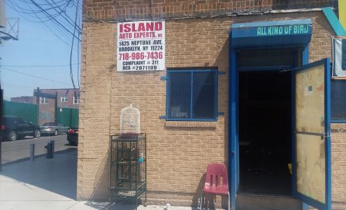 ISLAND AUTO EXPERTS INC.