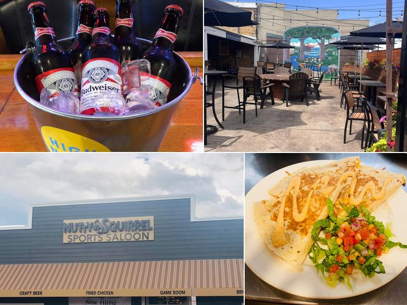 Nutty Squirrel Sports Saloon