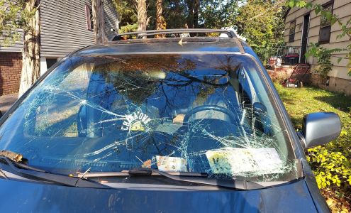 Extreme Auto Glass