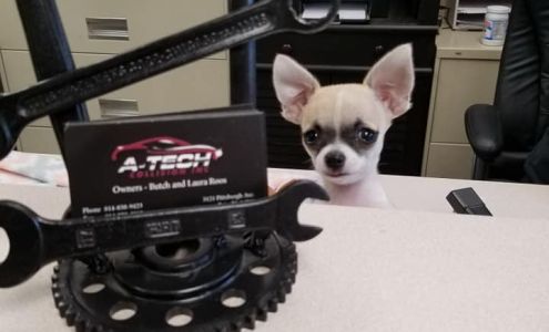 A-Tech Collision Inc