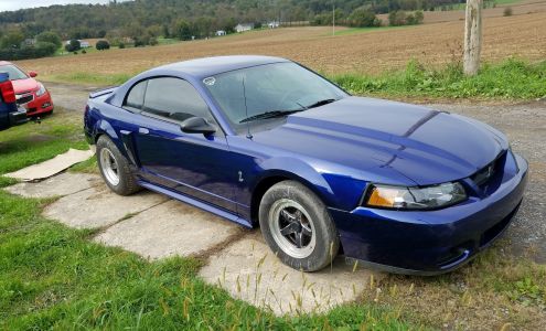 Jeff Shoenfelts Custom Auto Body