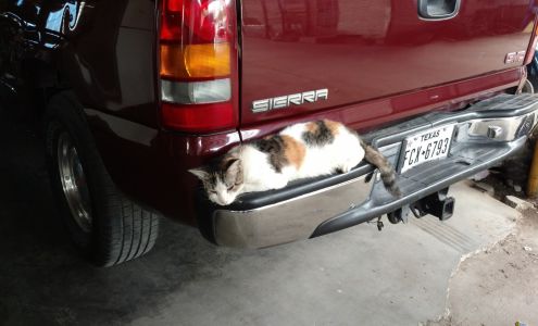 Arnulfo's Automatic Transs