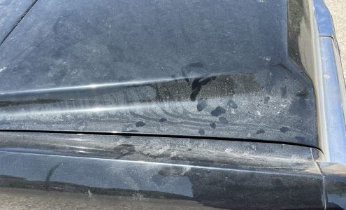 Rose's Touch of Color