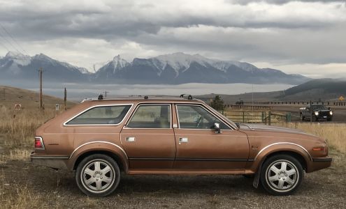 Tune-Up & Carburetor Shop