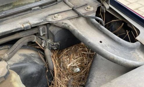 KS AUTOMOTIVE REPAIR Scio