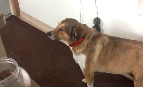 Jerry's Auto Xpressions