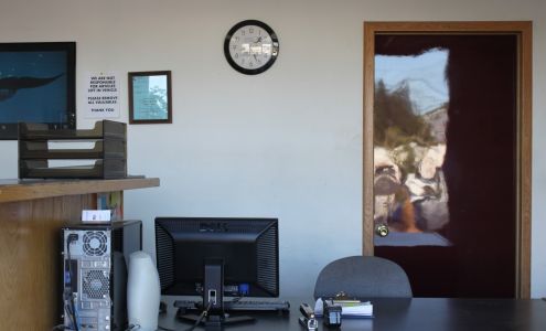 American Collision Inc