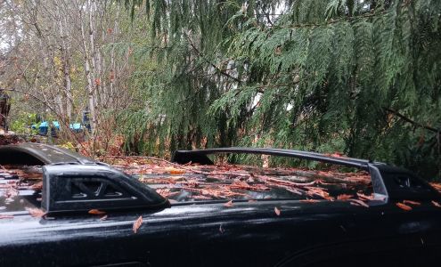 Fred Wright Automobile Repair