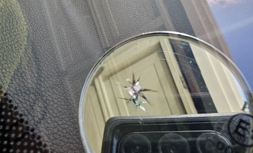 Dun-Rite Windshield Repair