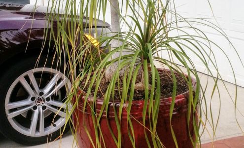 Green Tech Collision Center