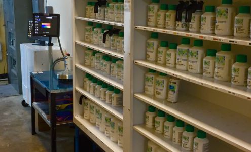 Alpha Collision Center