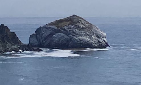 Beverly Hills Auto Body Group