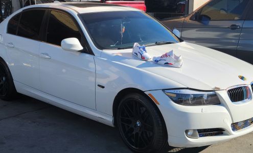 df Customz MT Custom