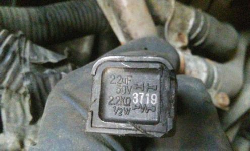 Ostrich Racing Engines