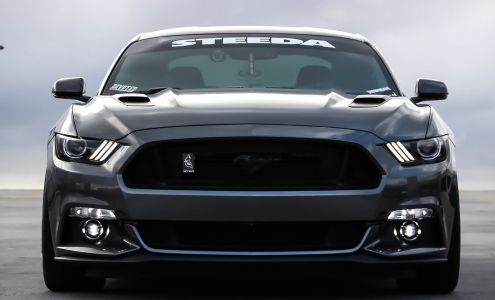 Finish Line Starter & Alternator