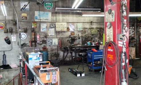 Garland Safety Lane Garland