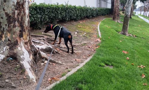 Maxxis International USA