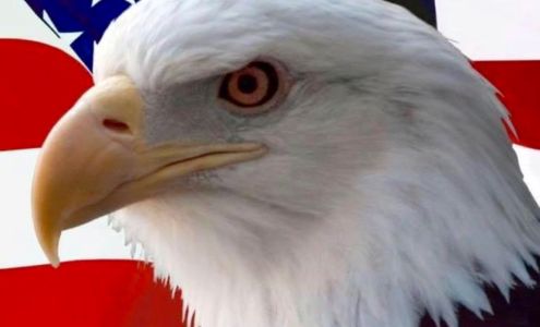 American Eagle Moving & Transport, LLC