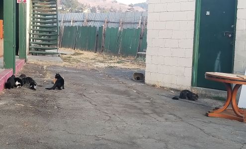 All Suites Islander Motel office