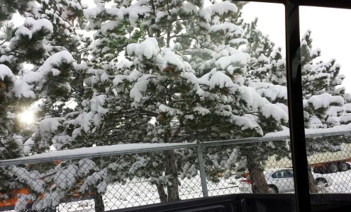 Warehouse Services Inc