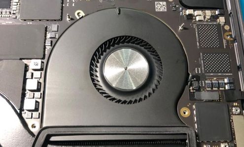 ??????? - ?????? ???? ???????? ??? ???? ?????? ????? ????