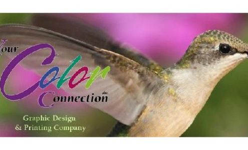 Your Color Connection