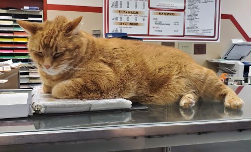 Tipps Printing & Copies