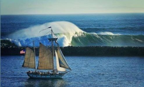 The Travellers Mailbag & Courier Service