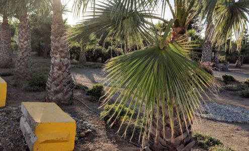 Baloian Packing Co., Inc.