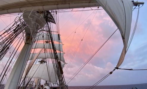 Wilhelmsen Ships Services