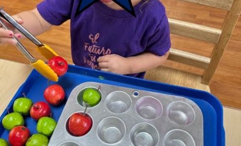 Beverlywood Montessori Preschool