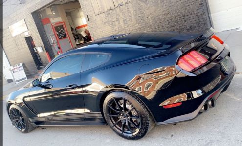 New Shelby ELITE Auto Detailing Winthrop