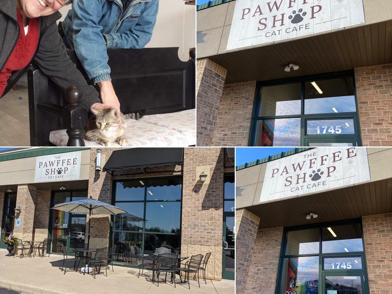The Pawffee Shop Cat Cafe 1745 N Casaloma Dr, Appleton